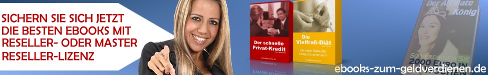 Master-Reseller-Lizenz Ebook Theme Geld verdienen MRR ! Blog Dich Reich inkl 